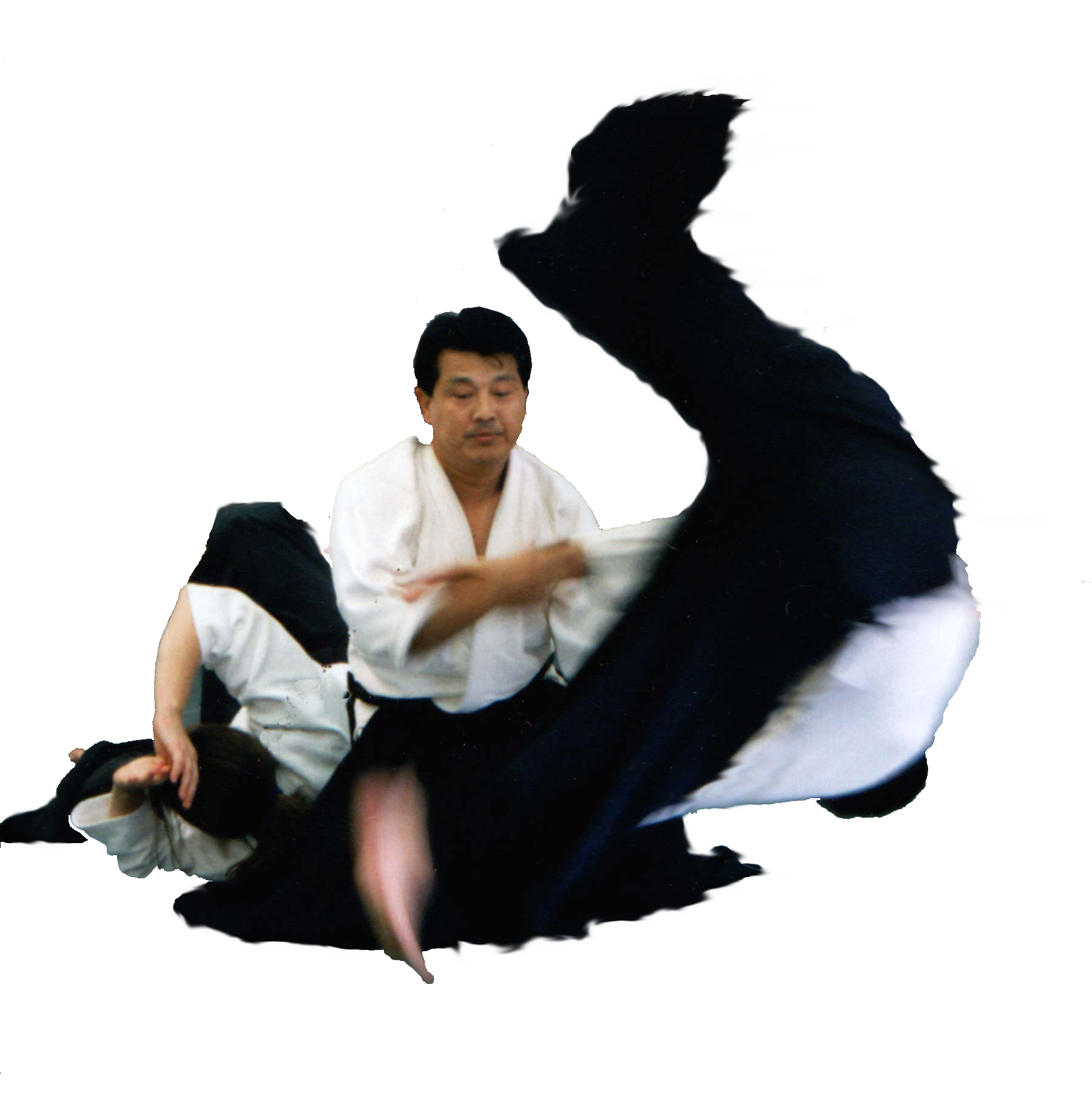 Aikido Techniques